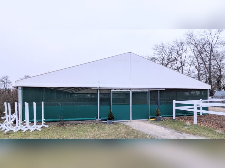 Teltowa hala 15x30 m na sprzedaż – idealna jako ujeżdżalnia, hala magazynowa lub namiot eventowy