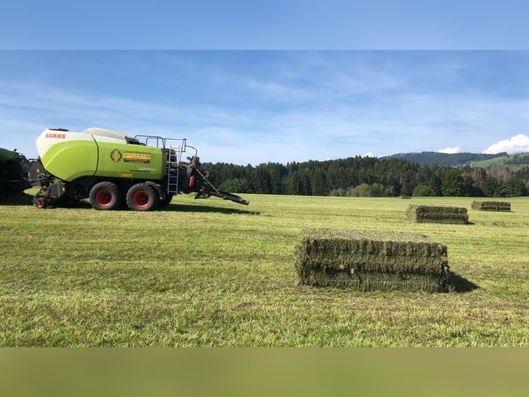 Wir liefern Heu und Stroh in Rundballen und Quaderballen