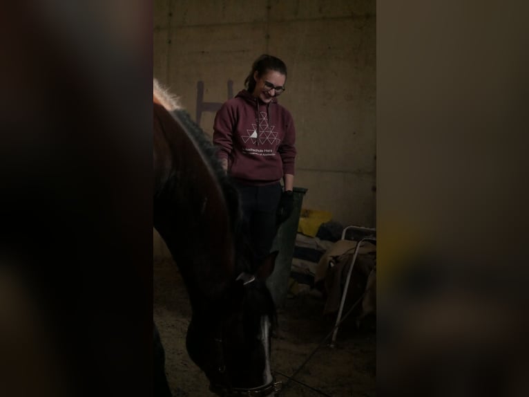 8-Wochen-Powerkurs "Mental stark reiten"