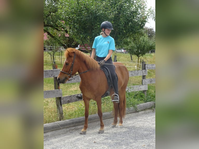 Centered Riding Kurs 4. und 5. Oktober 2025 Centered Riding Kurs 4. und 5. Oktober 2025