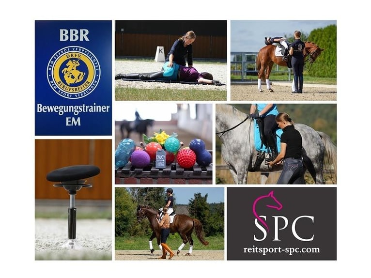 EM Bewegungstraining / Sitzschulung nach Eckart Meyners - das Original!