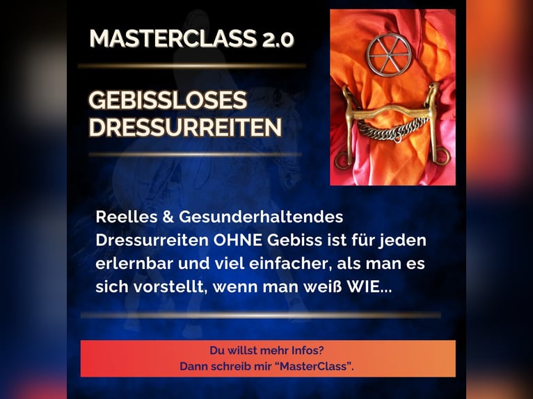 Gebissloses Dressurreiten ⭐MasterClass 2.0⭐Vorgespräch