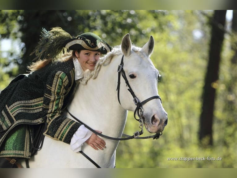 Indywidualny kurs teoretyczno-jeździecki z Dr. Dianą Krischke w dniach 13-14 czerwca 2026 roku