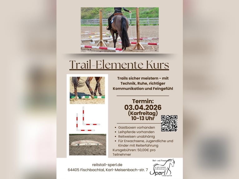 Kurs z elementami trail dla każdego