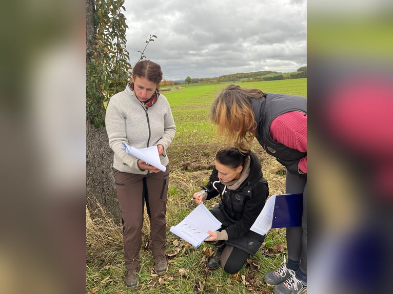 Workshop - Basiskurs - der Huf - Hufbearbeitung - Hufkurs