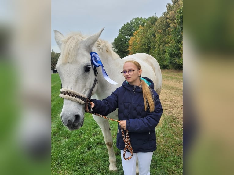 Ich biete Reitunterricht an für groß und klein