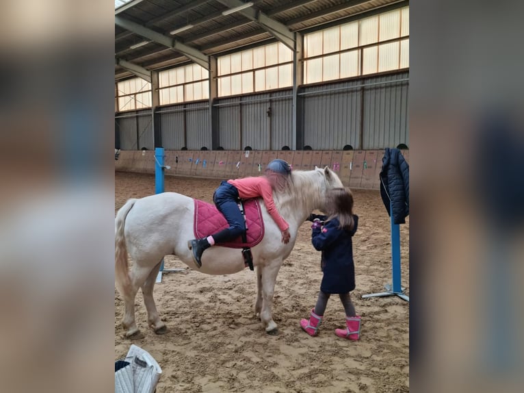 Kindergeburtstag auf dem Reiterhof