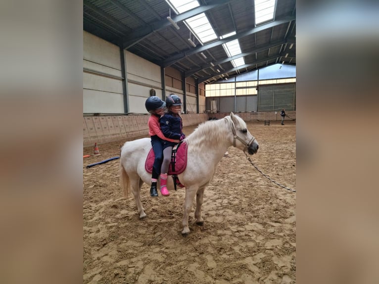 Kindergeburtstag auf dem Reiterhof