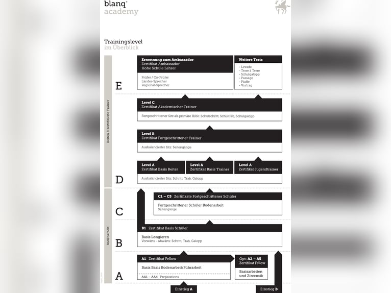 Lizensierter Trainer Akademische Reitkunst Reitunterricht