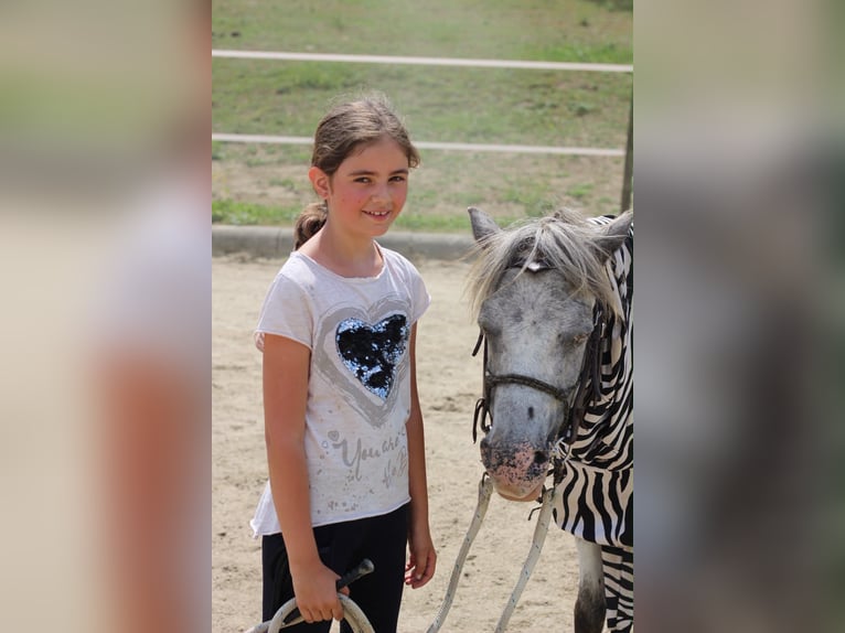 Podstawowy kurs nauki jazdy konnej