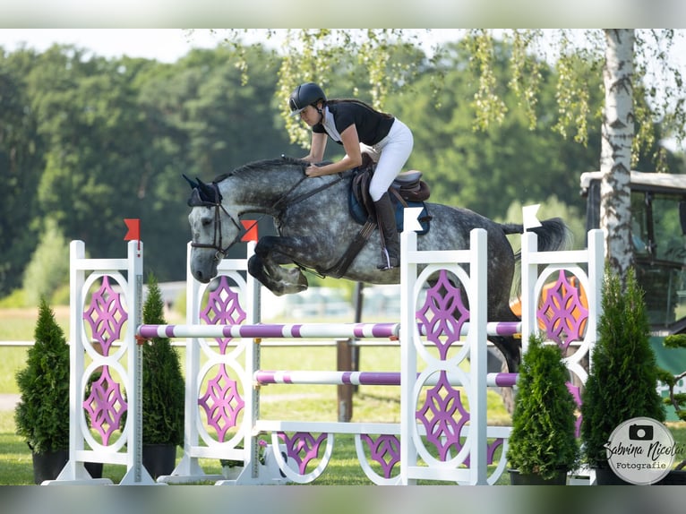 Przygotowanie do jazdy konnej