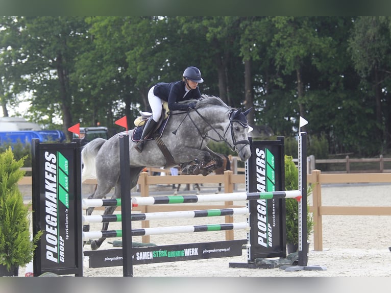 ⚜️ Wolne miejsca na jazdę szkoleniową ⚜️