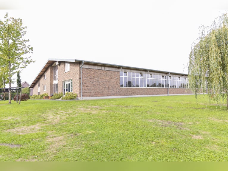 ⚜️ Wolne miejsca na jazdę szkoleniową ⚜️