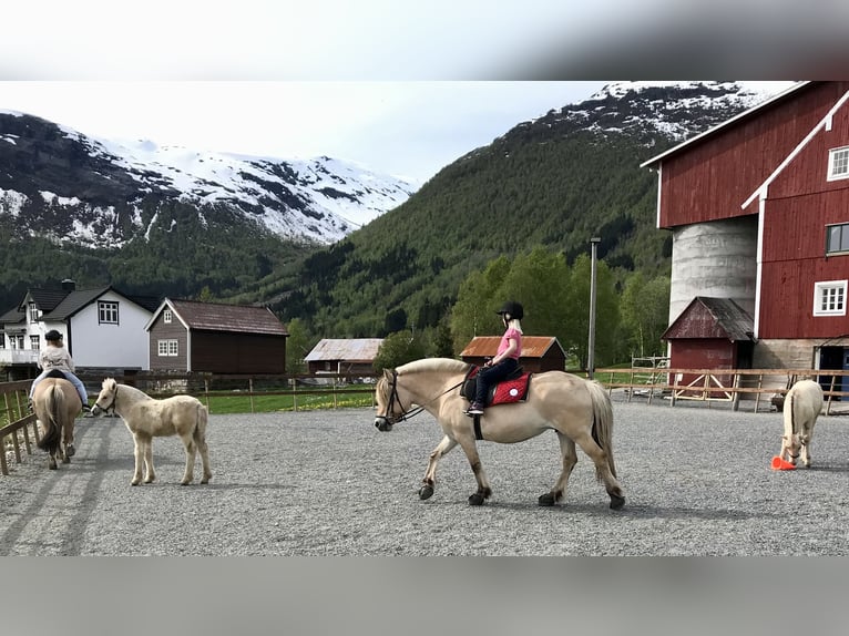 paardrijden in Noorwegen