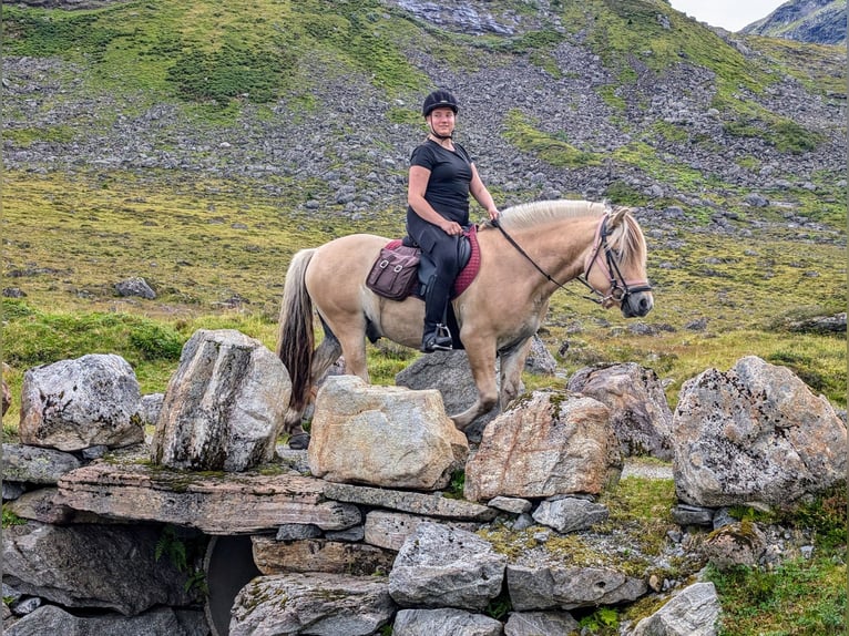 paardrijden in Noorwegen