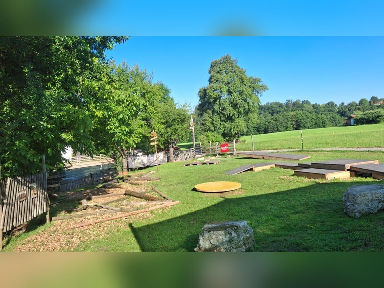 Urlaub mit Deinem eigenen Pferd