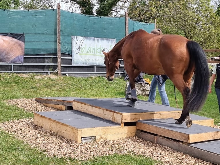 Urlaub mit Deinem eigenen Pferd