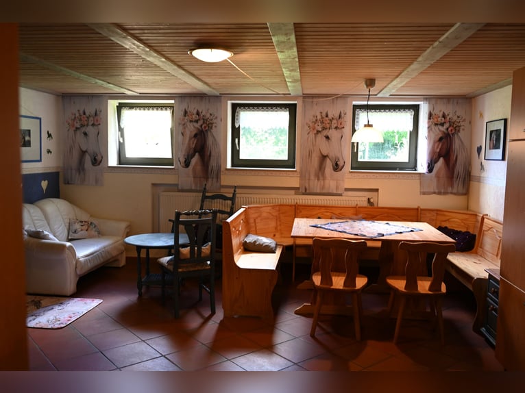 Niezapomniane ferie jeździeckie na stadninie kucyków konnych