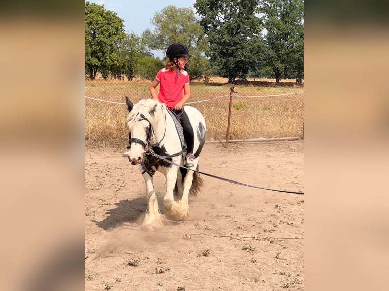 Obozy jeździeckie w stadninie 🐎