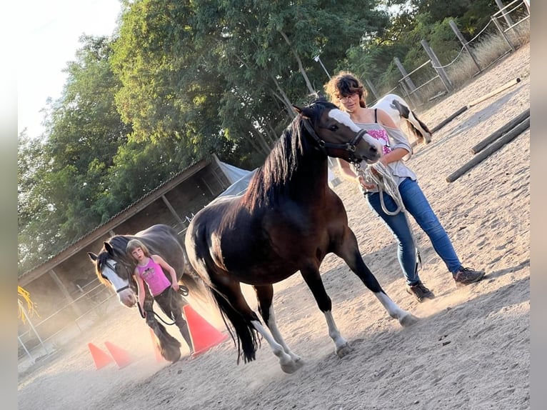 Obozy jeździeckie w stadninie 🐎