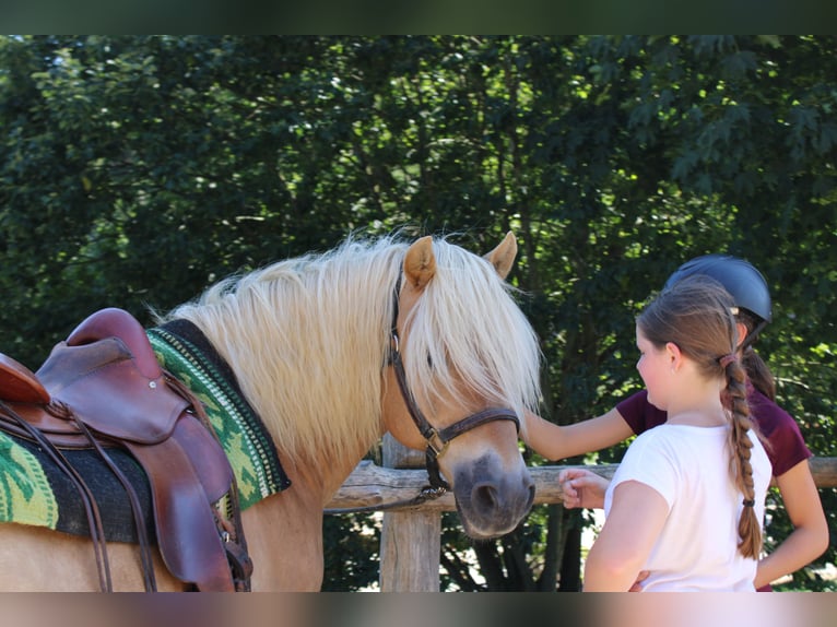 🐣 Ostatnia chwila: Twoja własna klacz na ferie wielkanocne! 🐴