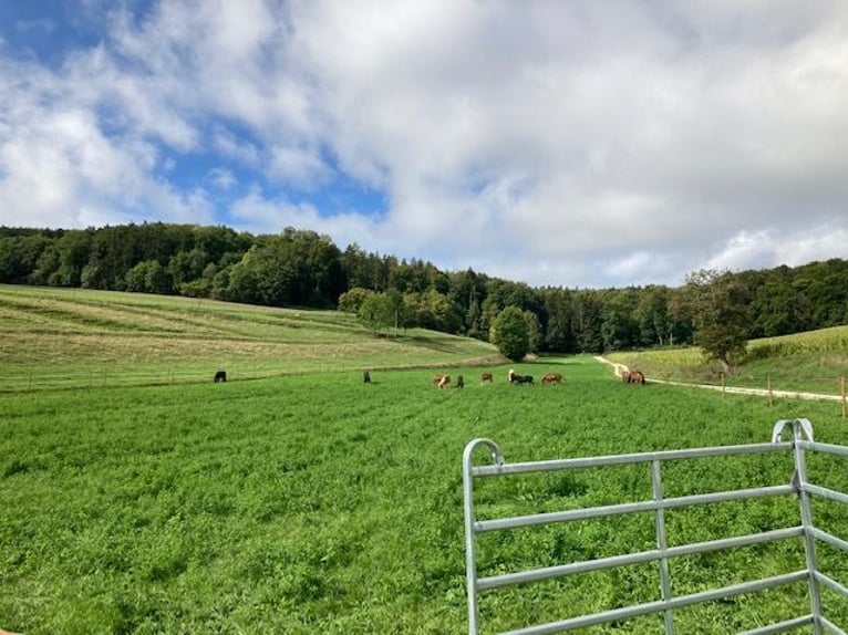 Reiterferien auf der schwäbischen Alb