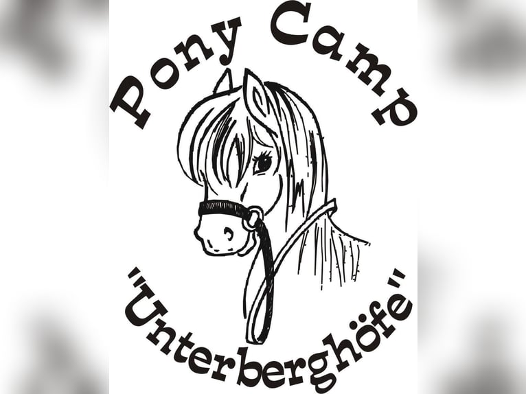 Reiterferien Reitferien Reitercamp Reiterfreizeit Pfingsten / Sommer für Mädels ab 8J. Bayern Allgäu