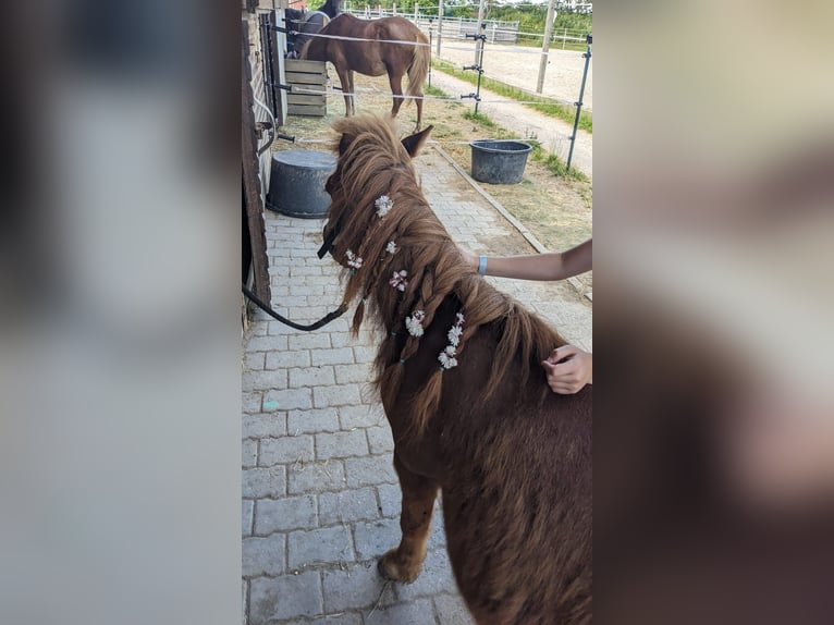 Reitferien für Kinder und Jugendliche