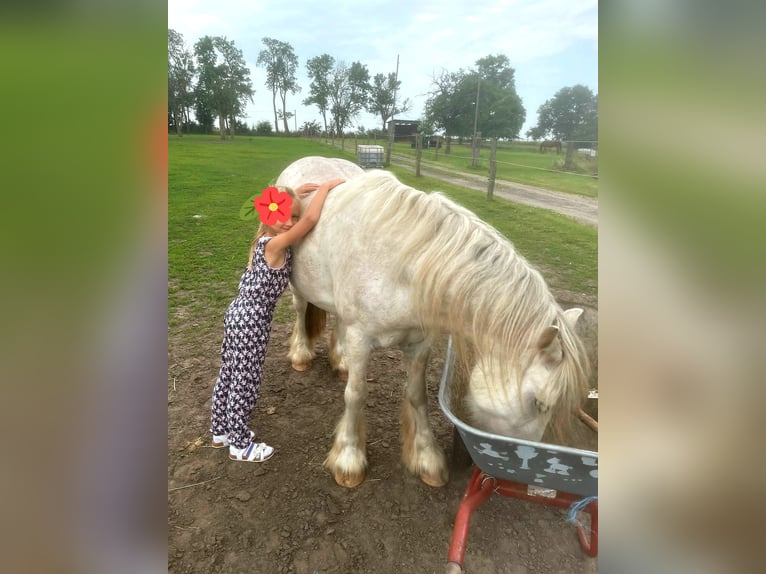 Reittherapie für Kinder und Erwachsene