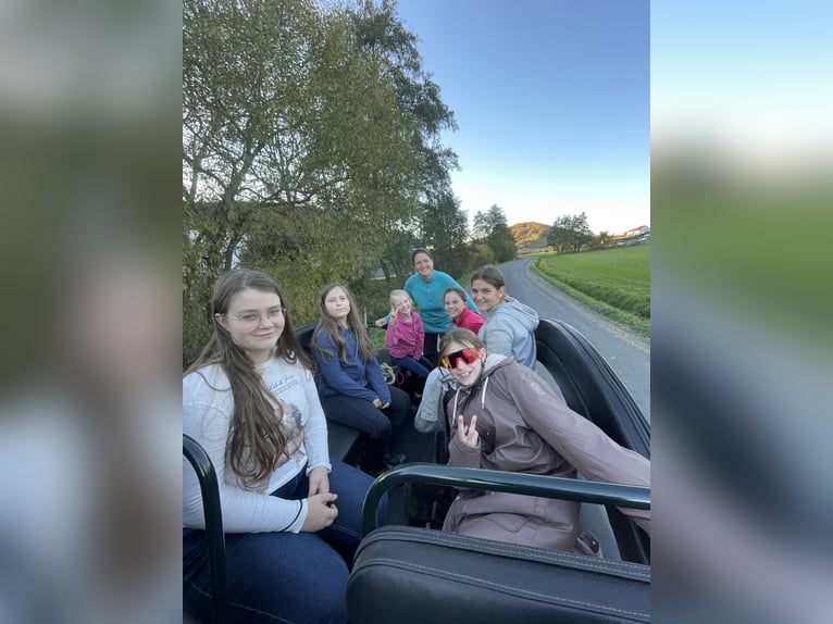 Wakacje jeździeckie – więcej niż tylko jazda konna