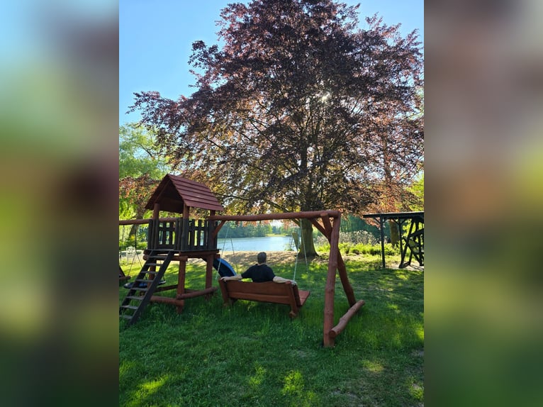 Neue Ferienwohnungen direkt am Wasser mit tollen Reitgelände - auch mit Gastboxen