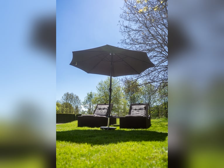 Urlaub auf Gut Buchenhof im Allgäu 