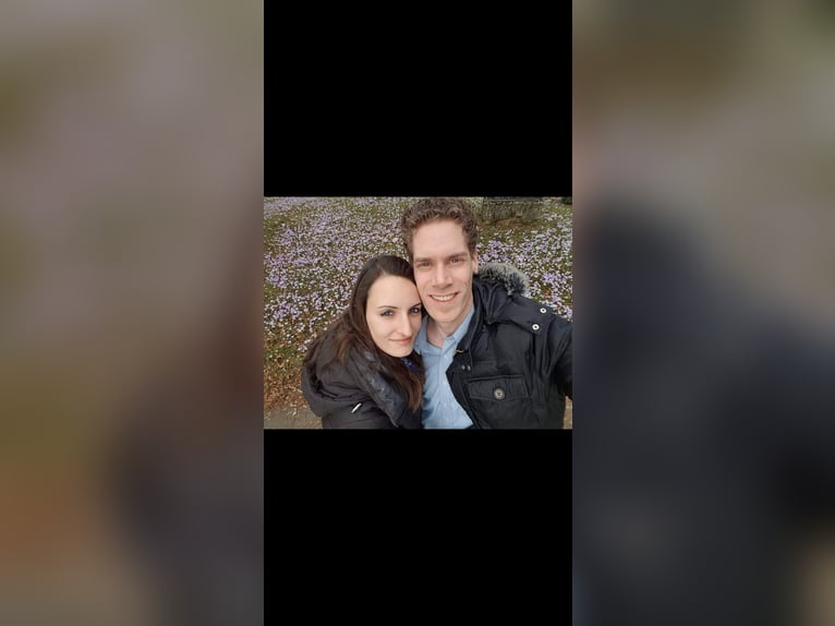 Oferuję opiekę nad kotami / opiekę nad kotami w rodzinie zajmującej się ochroną zwierząt