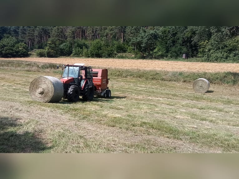 Słoma z bali okrągłe o średnicy 150 cm