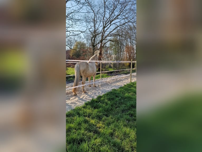 Dojazd do terenu rekreacyjnego bezpośrednio nad Morzem Północnym