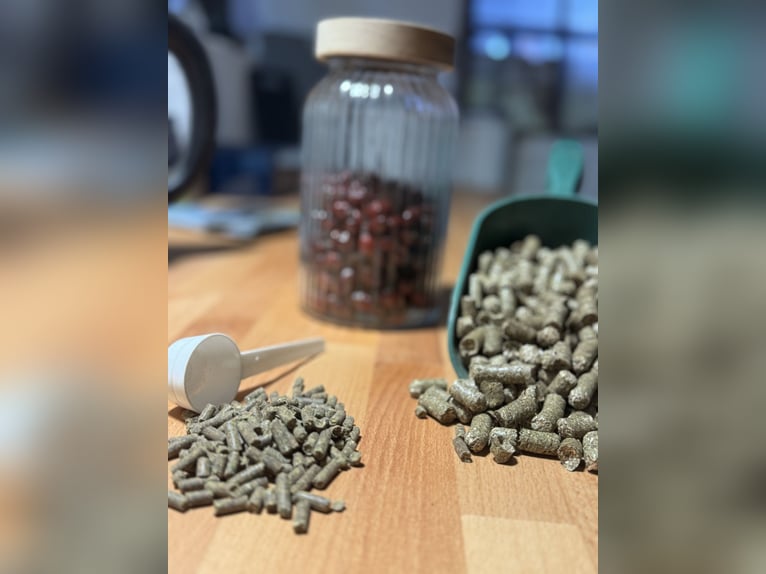 Dojazd do terenu rekreacyjnego bezpośrednio nad Morzem Północnym