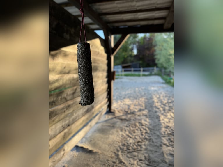 Dojazd do terenu rekreacyjnego bezpośrednio nad Morzem Północnym