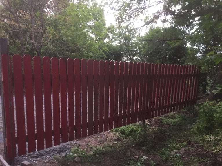Gartengrundstück Mietgarten Pferde Offenstall Tierhaltung Anbau Gartengrundstück Mietgarten Pferde Offenstall Tierhaltung Anbau