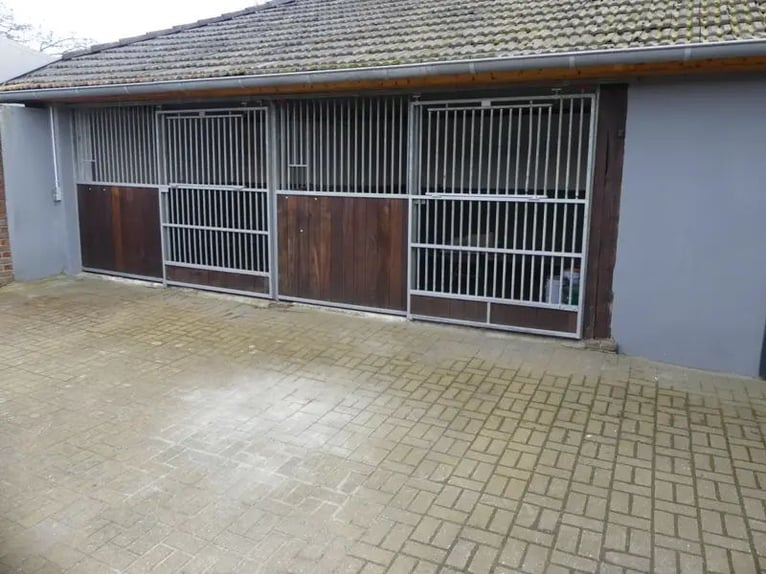 Pferdestallanlage mit 4 Boxen