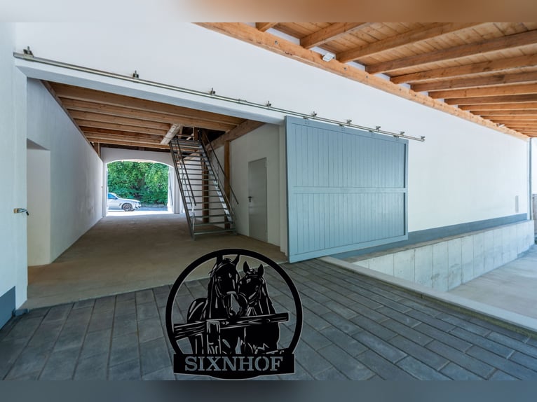 Box dla koni / boks w stajni / stajnia / boks