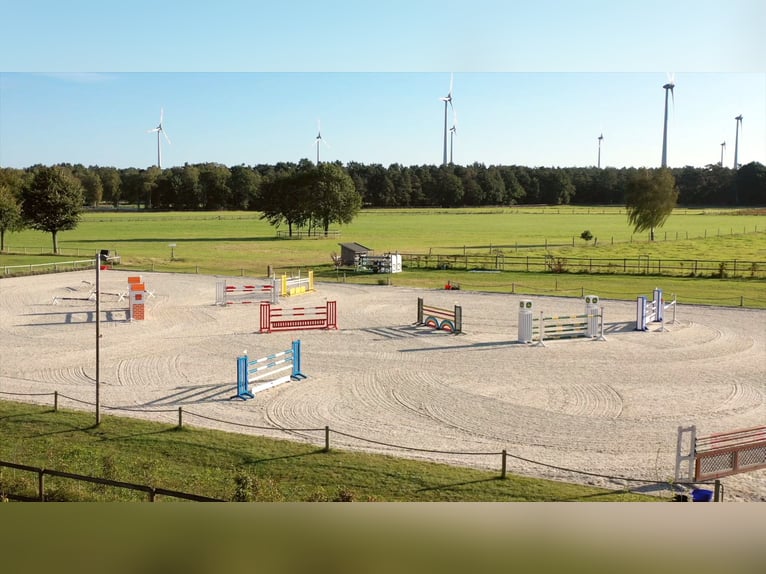 Einzelboxen oder Boxentrakt (ab 1.1.2026) auf ***Top Reitsportanlage ***