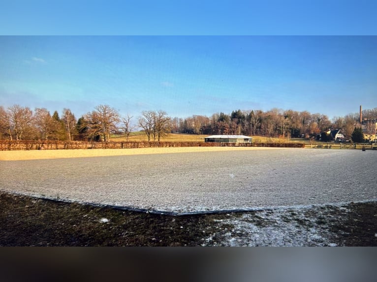 Piękna stajnia nad jeziorem Ammersee