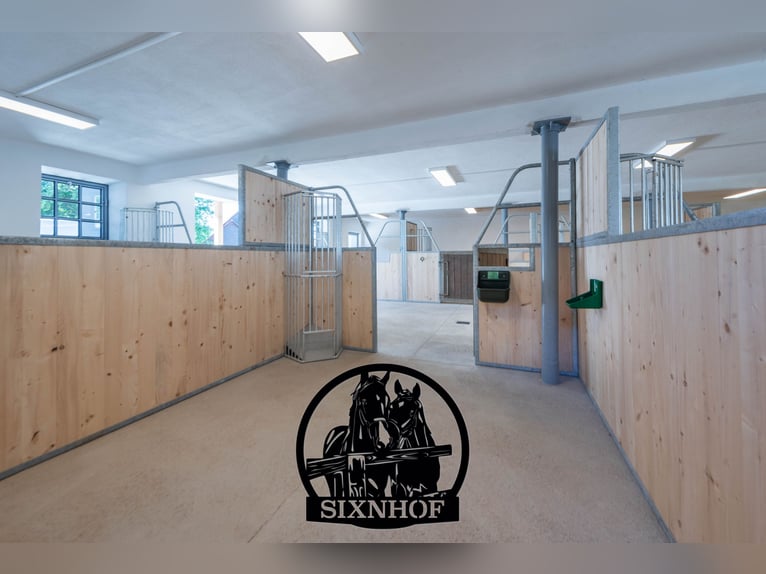 Reitstall, Pferdestall, Stall, Pferdebox, mieten