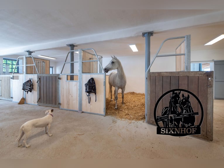 Reitstall, Pferdestall, Stall, Pferdebox, mieten