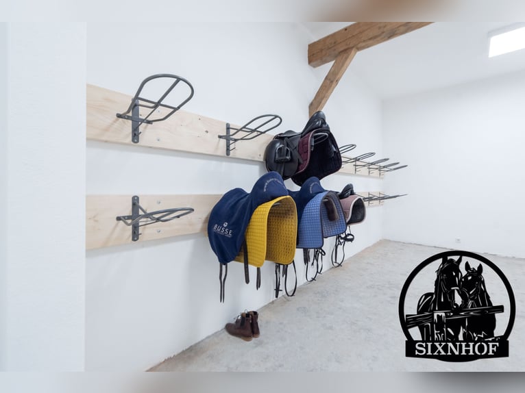 Reitstall, Pferdestall, Stalltrakt, Pferdeboxen, mieten, pachten