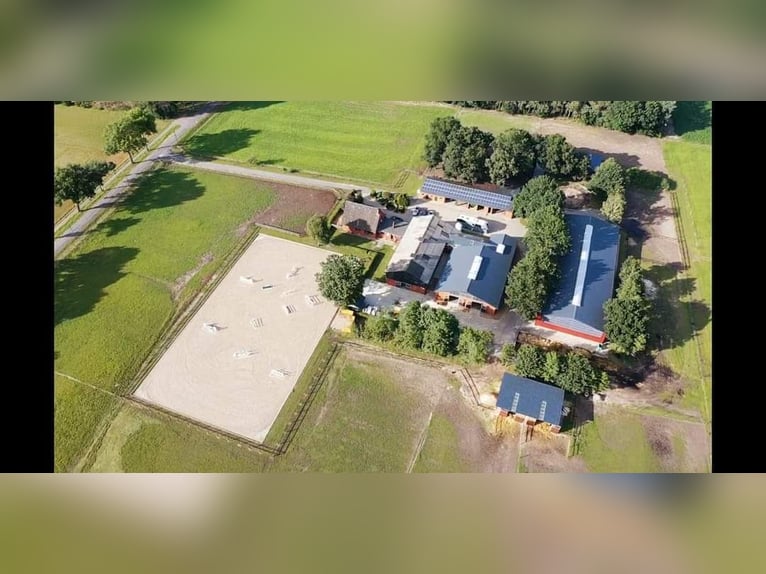 Stajnia sportowa – wolne boksy