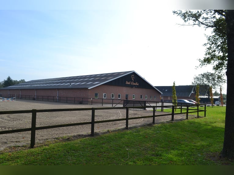 Te huur aangeboden een professionele paarden manege/complex/stallen