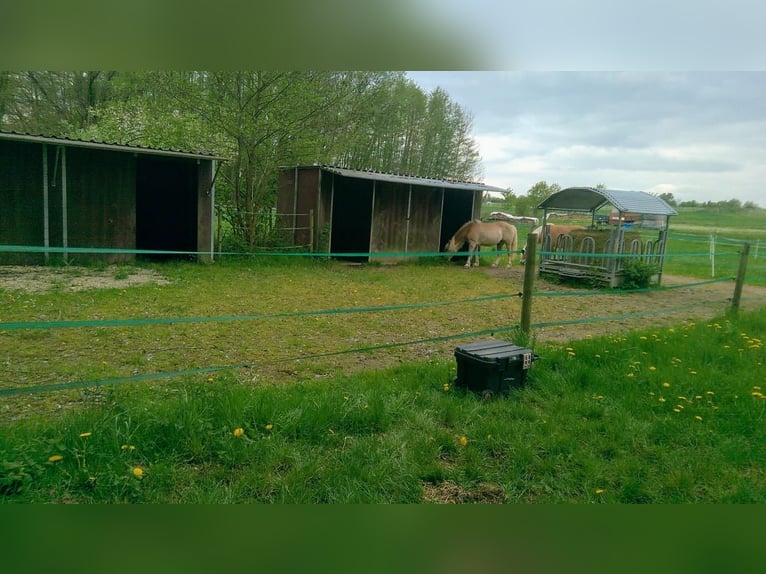 Ahnatal od sezonu 2026