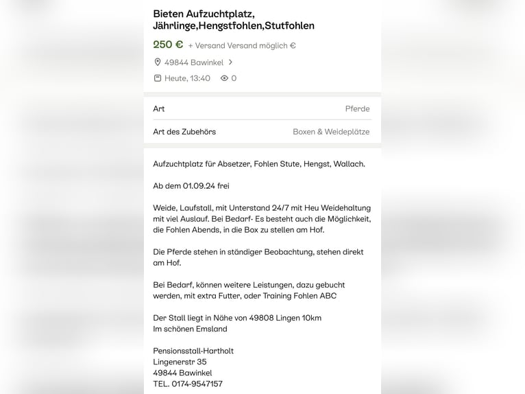 Aufzuchtplätze, für, Hengstfohlen, Stutfolen