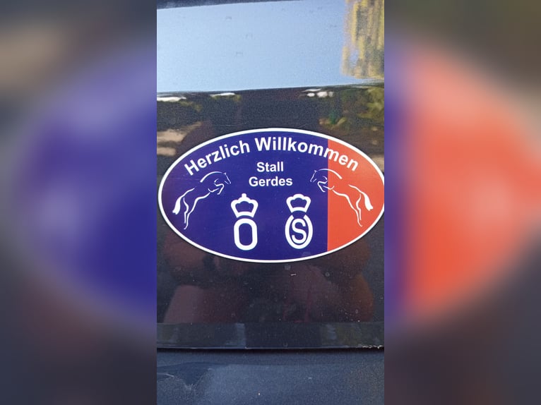 Plac hodowlany dla klaczy